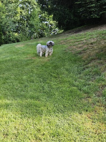 Customer photo review of Multi Vital