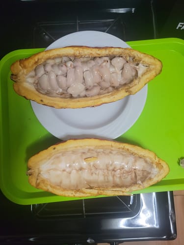 Customer photo review of Black Sapote