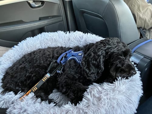 Customer photo review of CalmBed - Motverkar stress & hjälper mot ångest