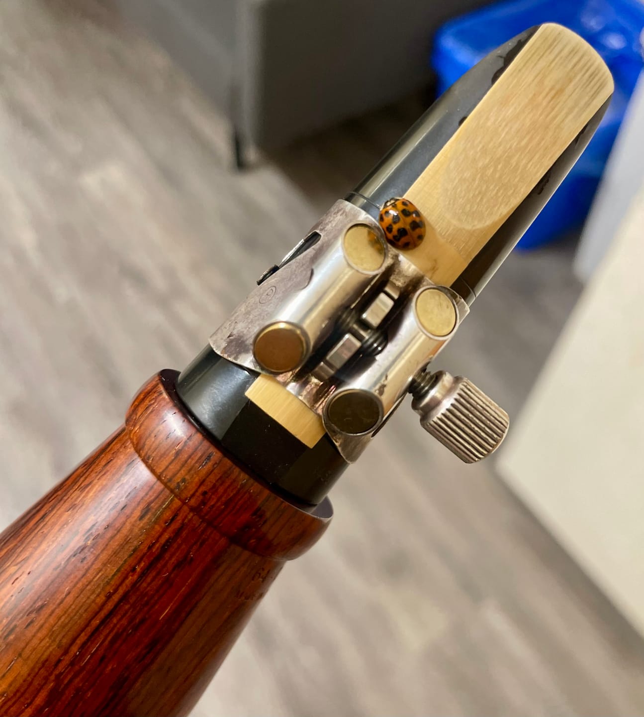 Customer photo review of MoBa Barrels