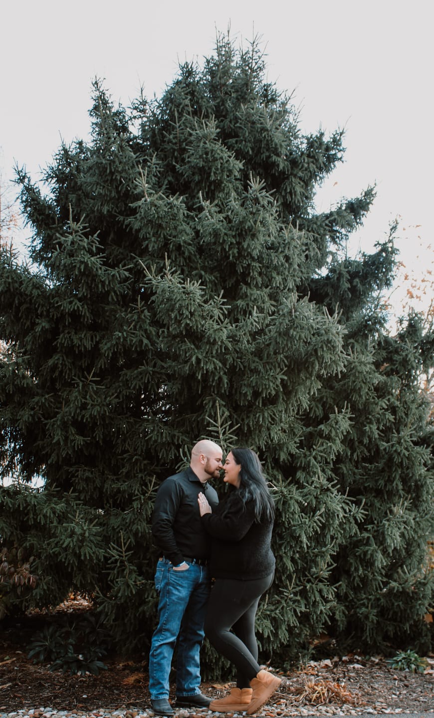 Customer photo review of Moody Tones Preset Collection
