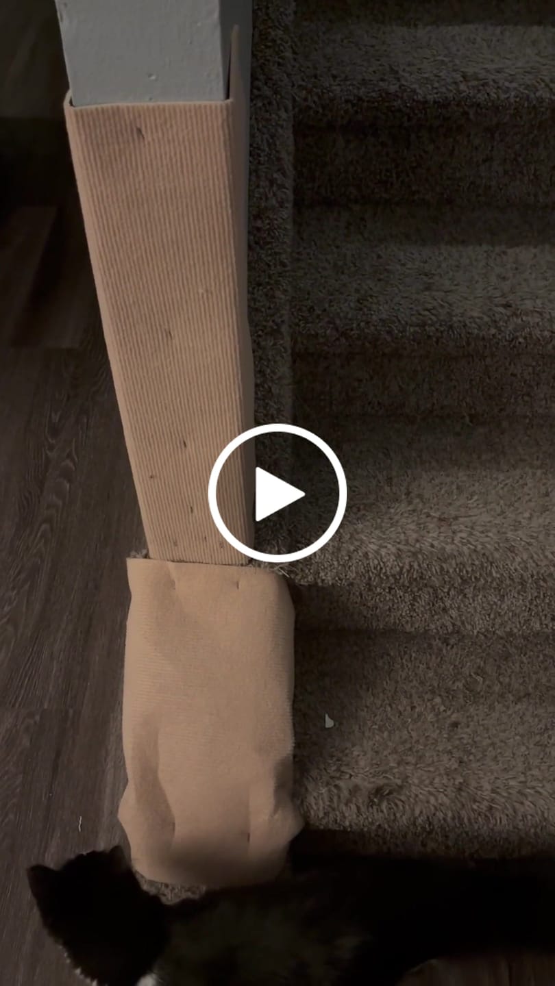 Customer video review of Multifunctional Cat Scratching Carpet