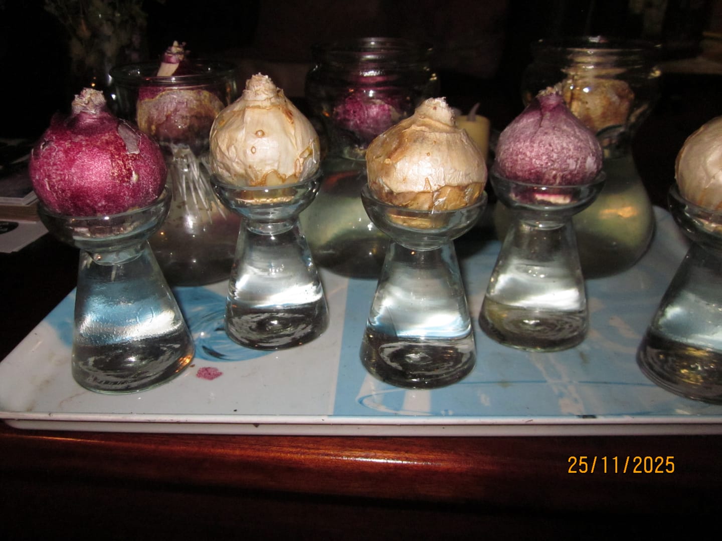 Customer photo review of Little bulb vase glass