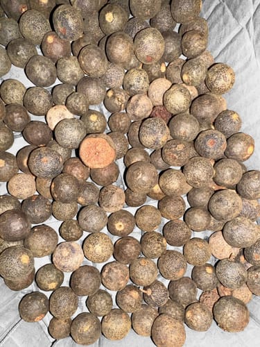 Customer photo review of Pure Rudraksha Fruits – Blessed by Nature, Cherished by Devotion....(100% Original & High Quality)