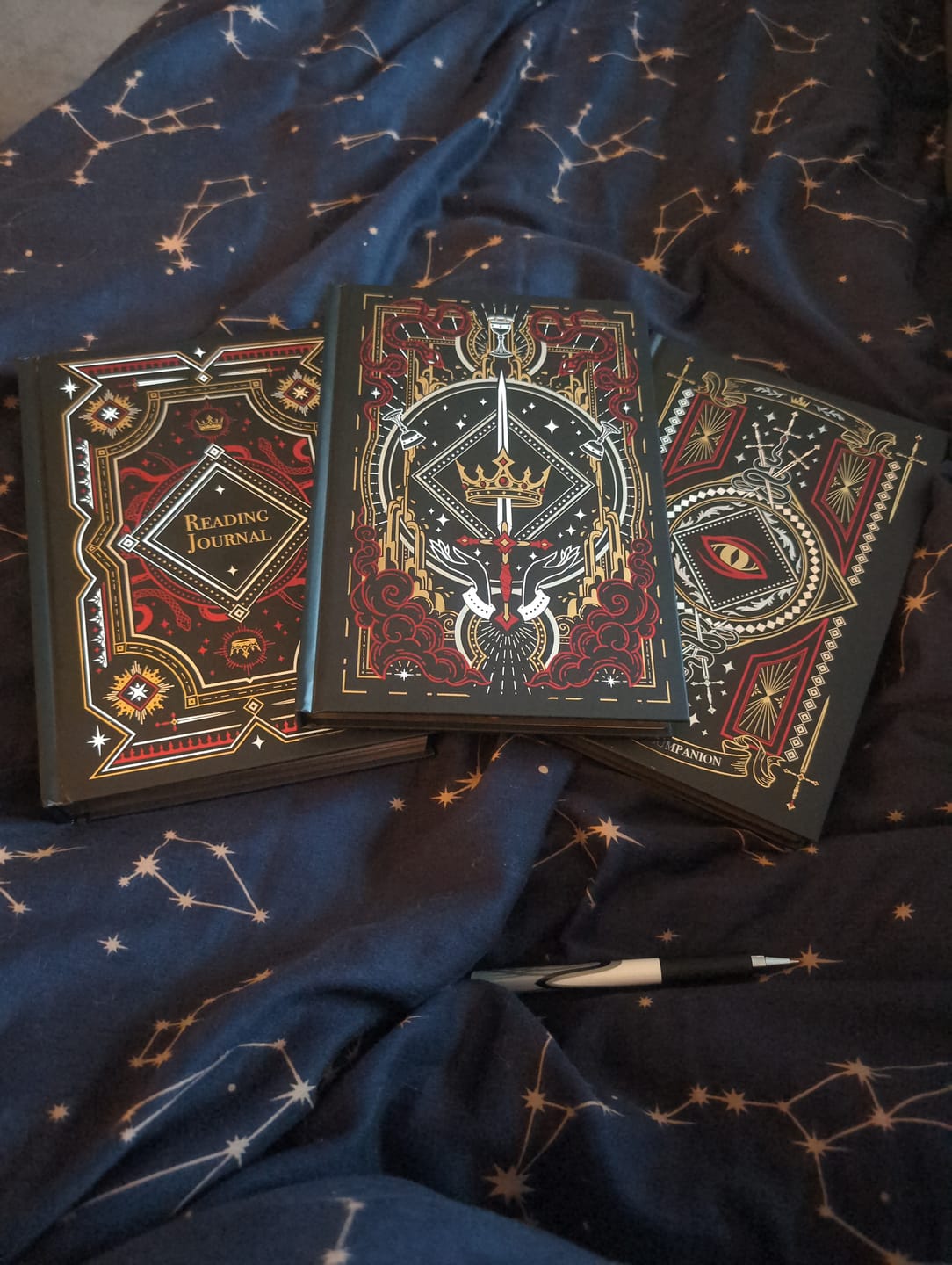 Customer photo review of Reading Journal - Serpents & Swords