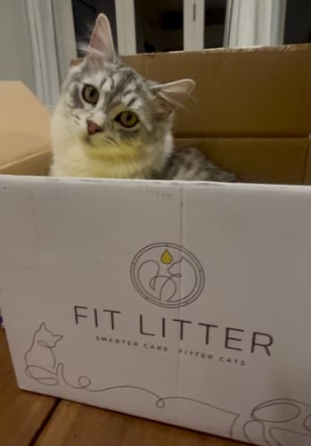Customer photo review of Fit Litter