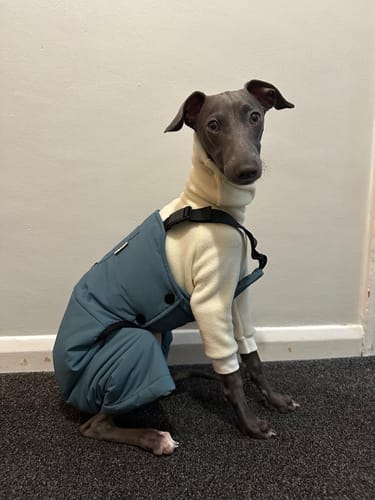 Customer photo review of Winter Workwear Jumpsuit