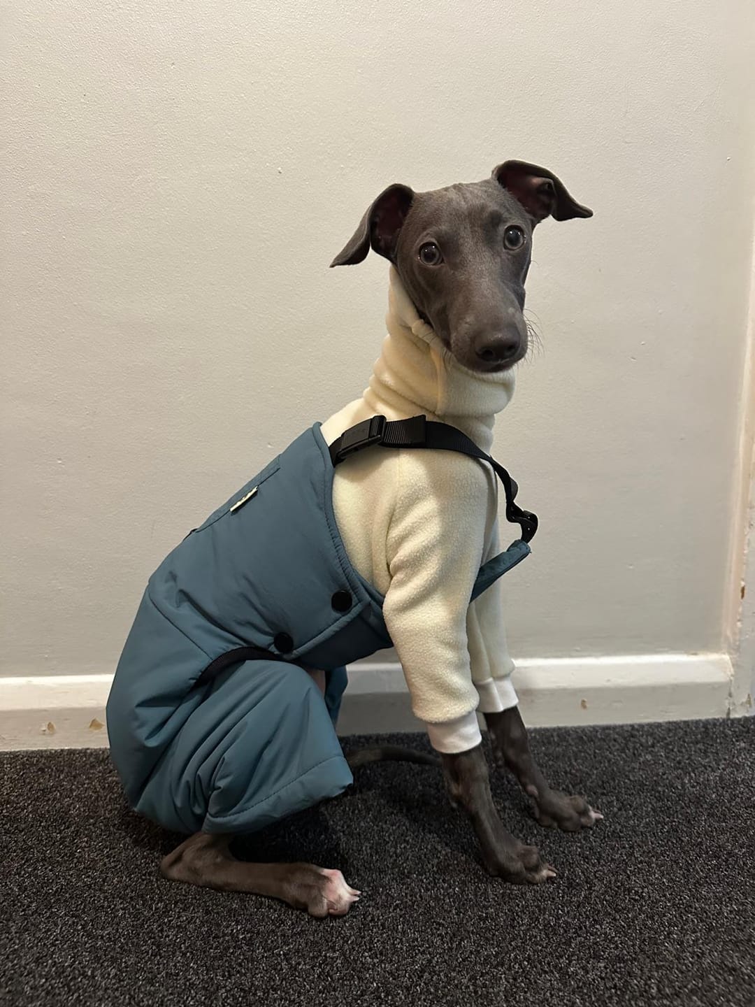 Customer photo review of Winter Workwear Jumpsuit