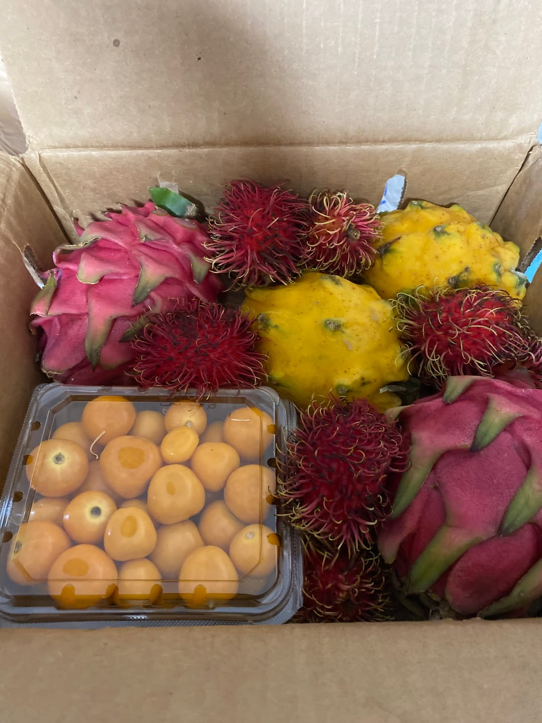 Customer photo review of Build Your Own Tropical Fruit Box