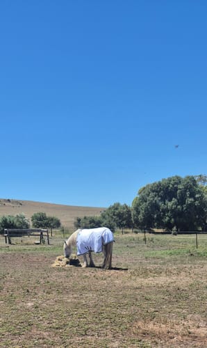 Customer photo review of LE Stay Dry Quarter Sheet