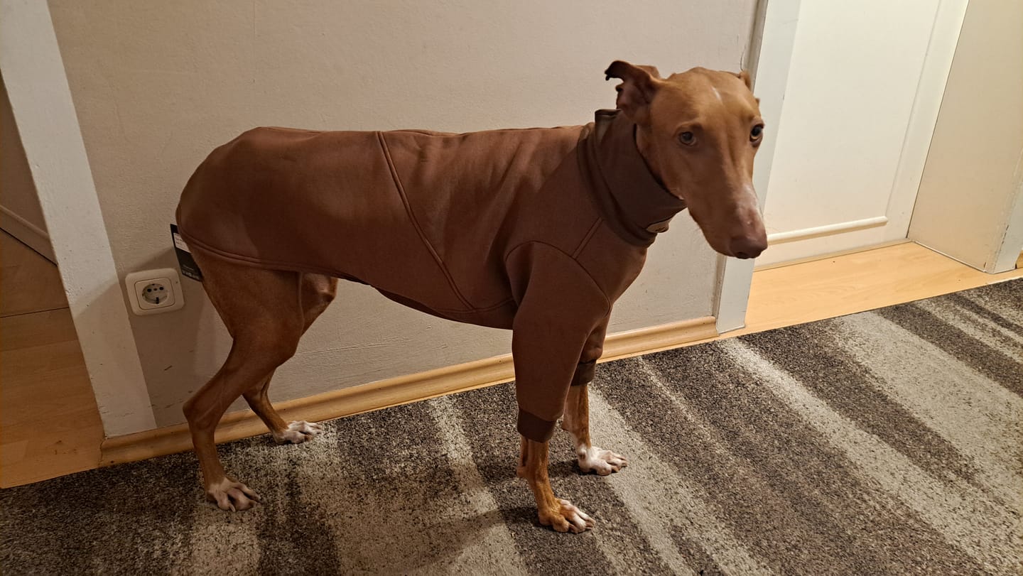 Customer photo review of Aspen "Pretzel Brown"