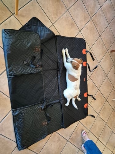 Customer photo review of PupQuest™ - Dog Seat Cover $130 OFF + FREE Dog Buckle