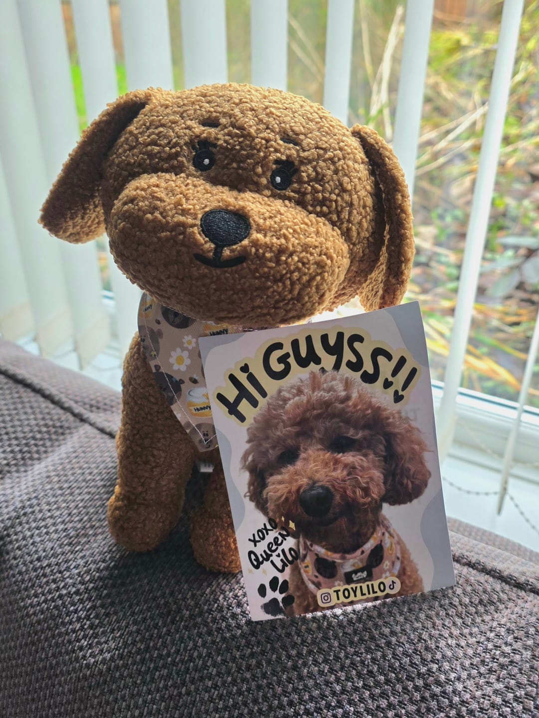Customer photo review of Toy Lilo Plushie