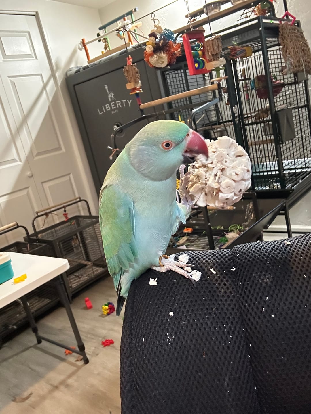 Customer photo review of "BYOT" Foraging Flats by Cheep Thrills