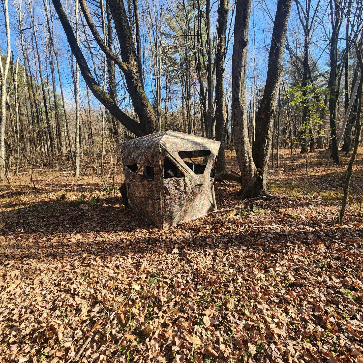 Customer photo review of VisMaster 3-4 Person See Through Hunting Blind | 270° Portable Pop Up Deer Blinds | Blaze Orange Weatherproof Ground Blind with No-Trip Door