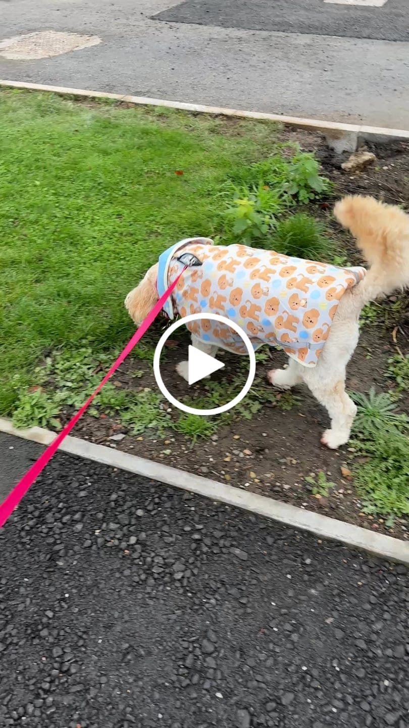 Customer video review of Rain Jacket - Curly Club