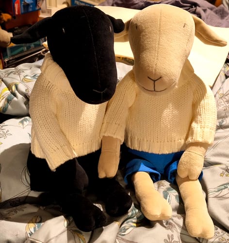 Customer photo review of MAIA, LA BREBIS - L