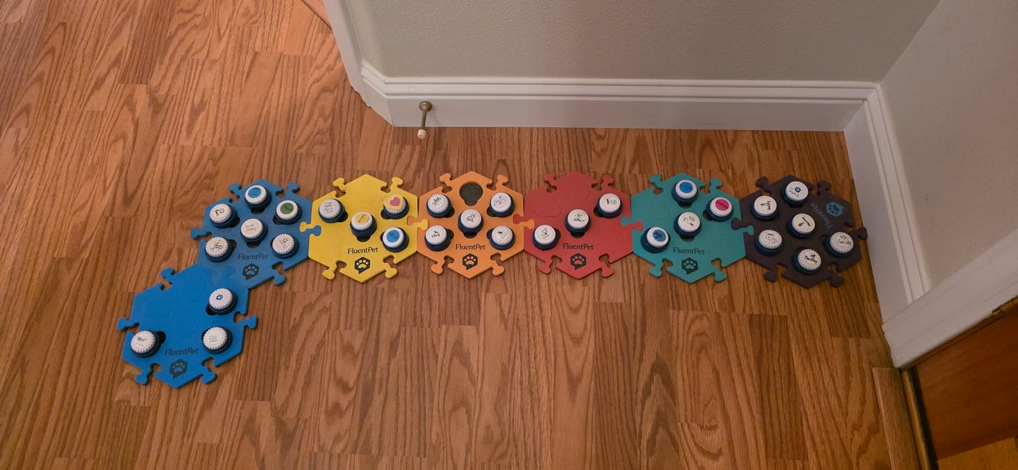 Customer photo review of Key Vocab Kit Bold