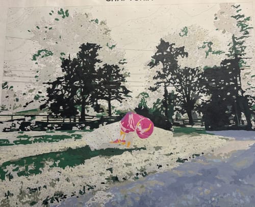 Customer photo review of Custom Landscape Paint By Numbers