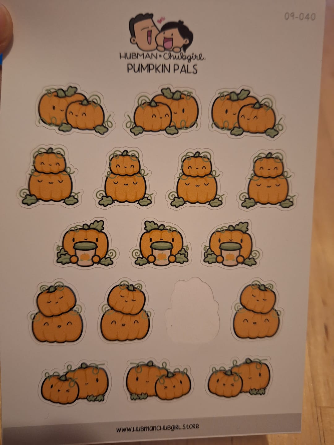 Customer photo review of Pumpkin Pals Planner Stickers