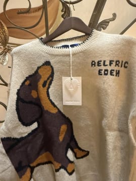 Customer photo review of Aelfric Eden Hand Drawn Dachshund Jacquard Sweater