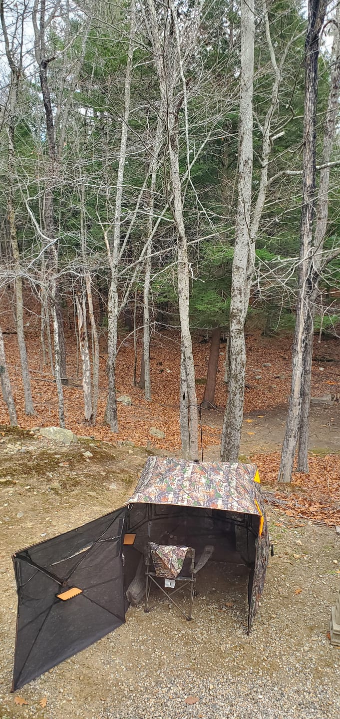 Customer photo review of Vis360 See Through Silent 4 Full Panels Deer Hunting Blind