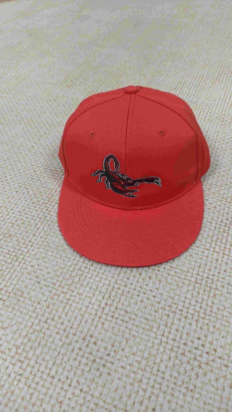 Customer photo review of Custom Red White-Black 3D Puff Embroidery Flat Embroidery Curved Eaves Sport Design Baseball Cap