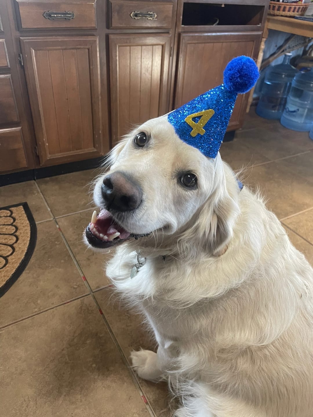 Customer photo review of Chicken Hearts Treats