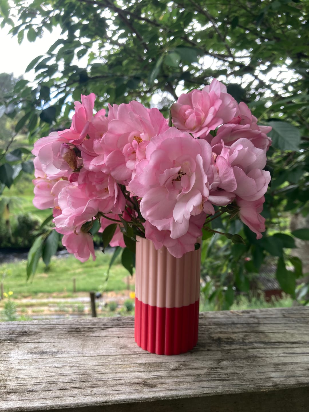 Customer photo review of Mini Frankie Vase