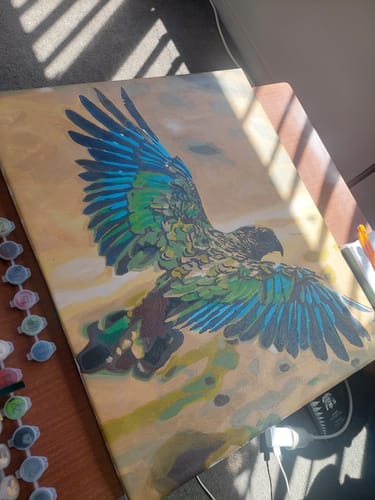 Customer photo review of Kea