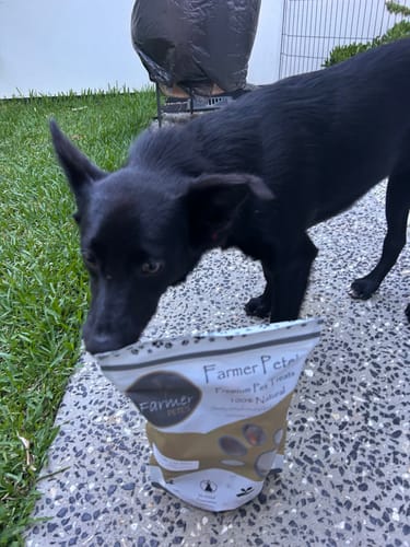 Customer photo review of Crocodile Feet