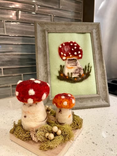 Customer photo review of Sophie Wheatley's Felted Fungi Supplies Box
