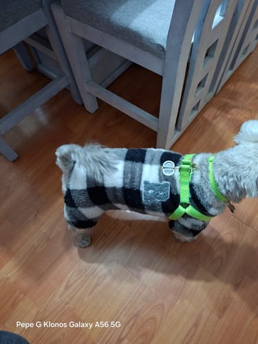 Customer photo review of CT3906 1 Pieza De Ropa De Invierno Para Mascota