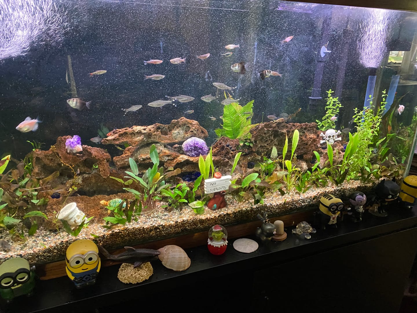 Customer photo review of Amazon Sword