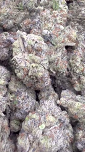 Customer photo review of Peak 112 - Bulk - Indica