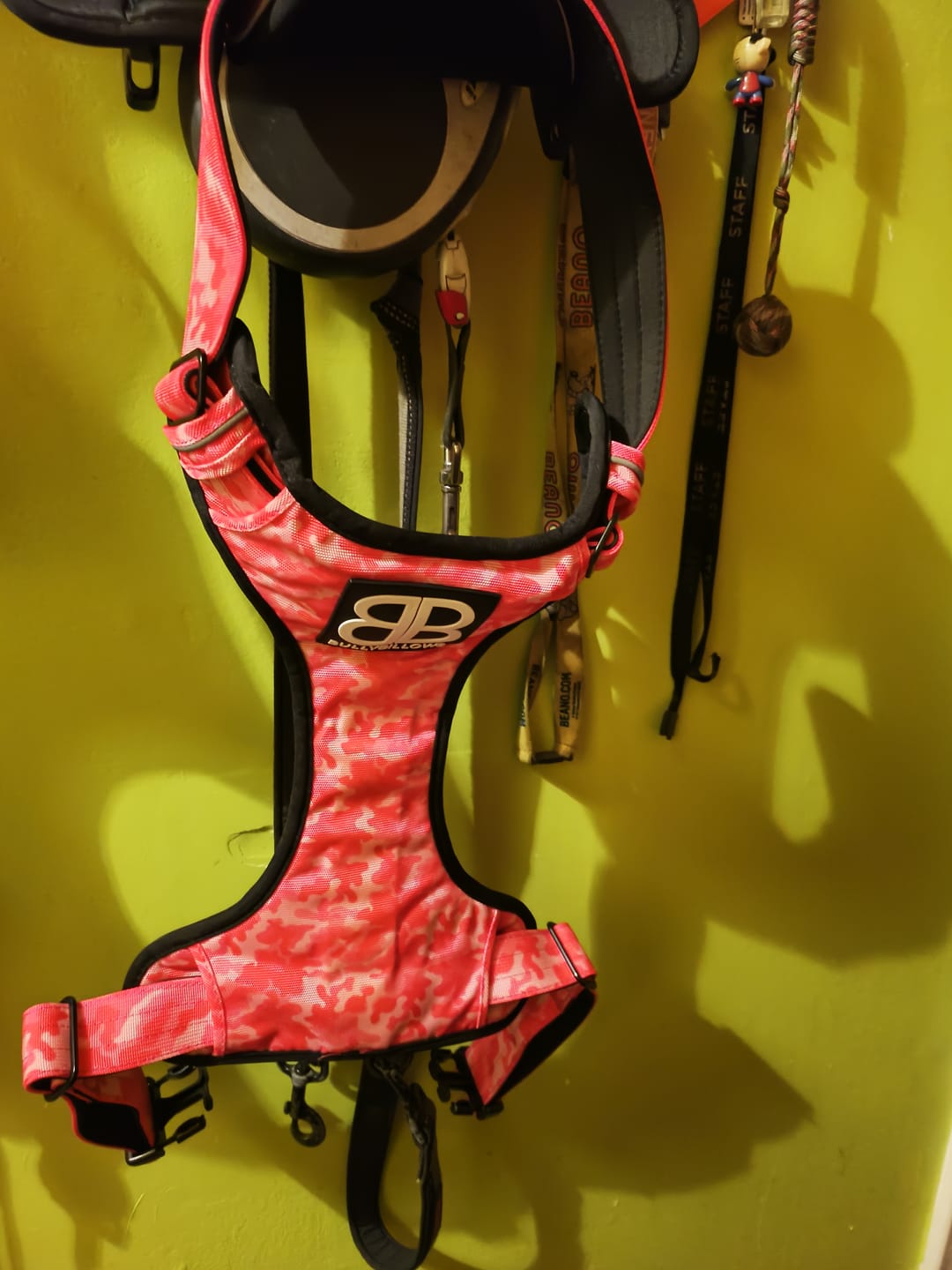 Customer photo review of Comfort Premium Harness | Non Restrictive - Bubblegum