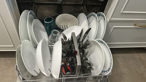 Customer photo review of דפי ניקוי למדיח