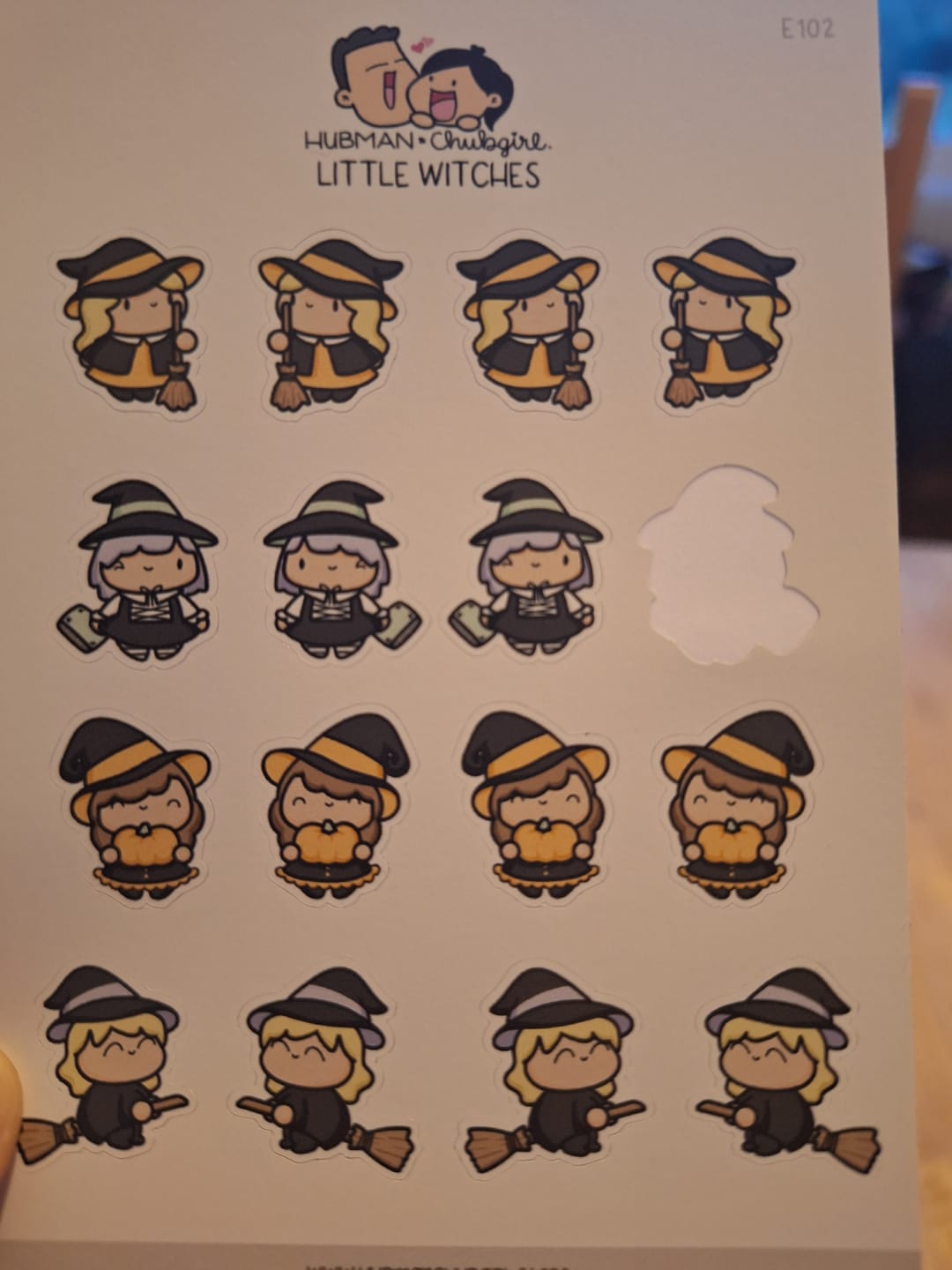 Customer photo review of Little Witches Planner Stickers