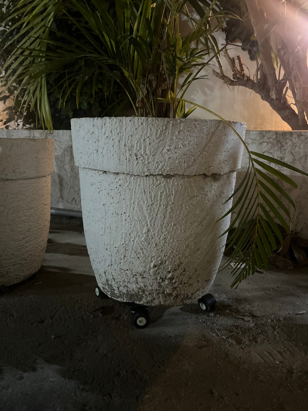 Customer photo review of TryGreen Daze Wheel Rolling Plant Stand for Planters