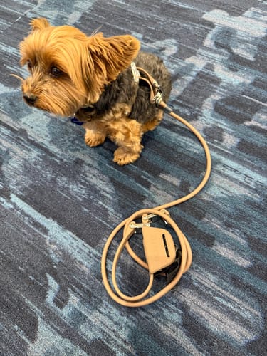 Customer photo review of Grip 360 Mocha