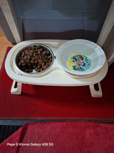 Customer photo review of CT2228 1 Pieza De Tazon Con Base Alta Para Mascota