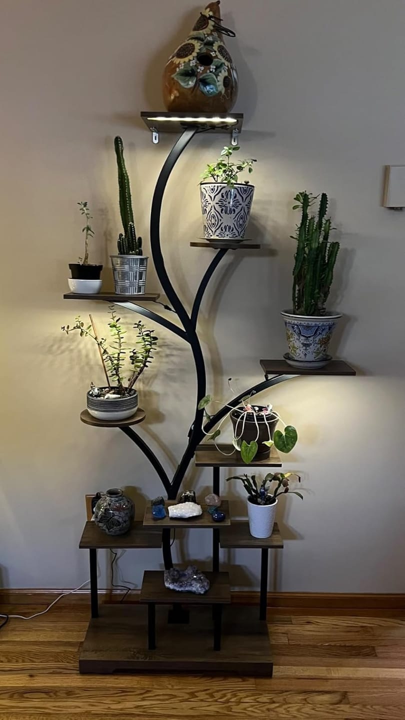 Customer photo review of 63" Indoor Plant Stand with Grow Lights