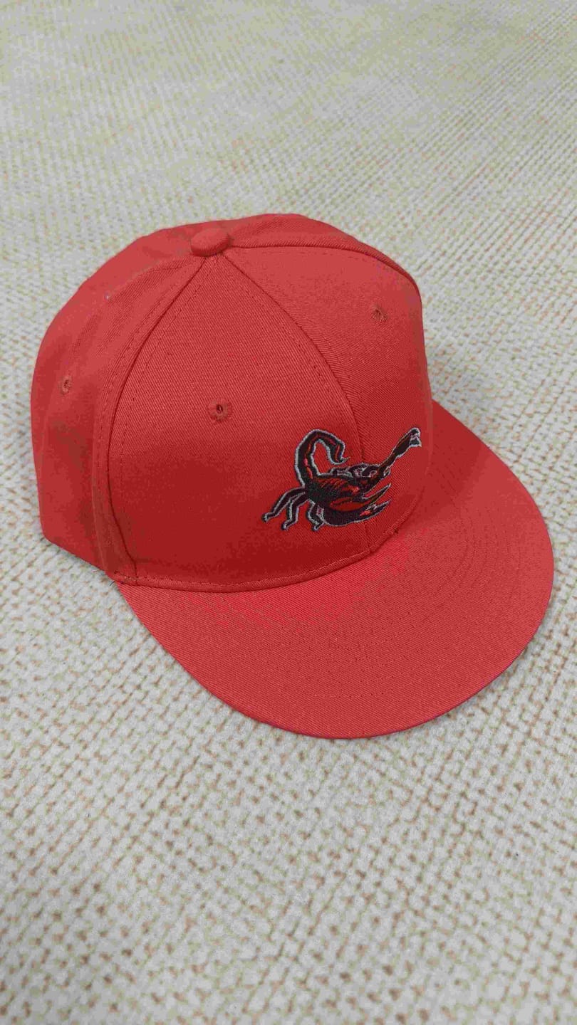 Customer photo review of Custom Royal White-Light Blue 3D Puff Embroidery Flat Embroidery Curved Eaves Sport Design Baseball Cap