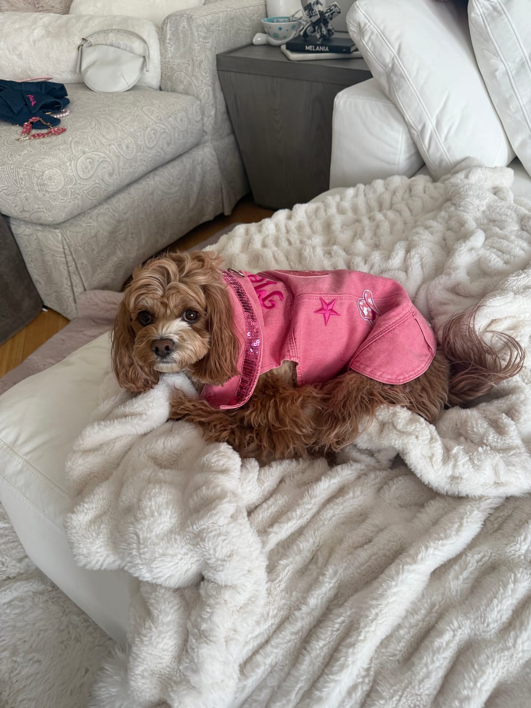 Customer photo review of Pink Dolly Vest