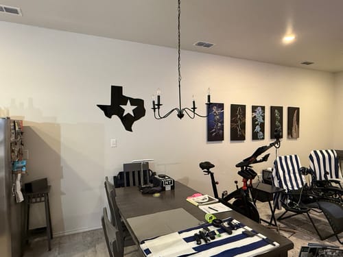 Customer photo review of Lone Star Texas - Metal Wall Art