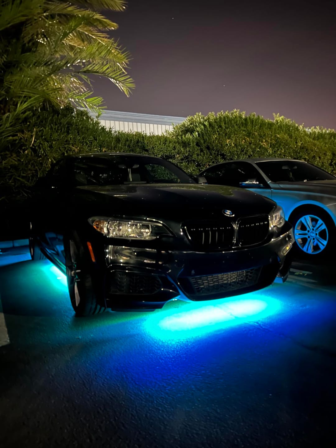 Customer photo review of Underglow