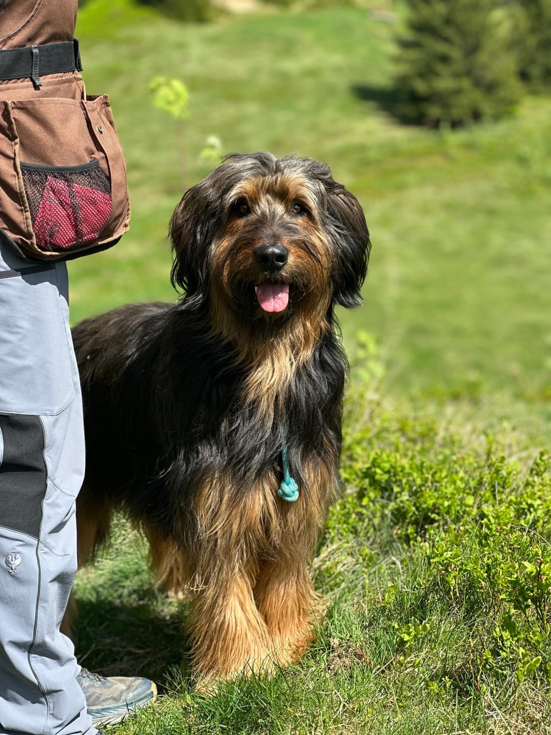 Customer photo review of Faltnapf