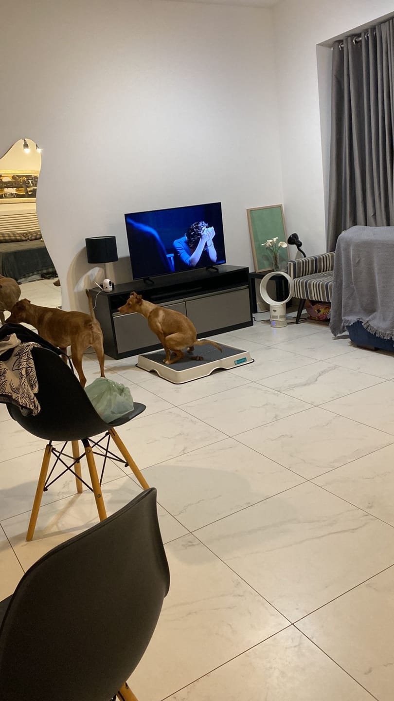 Customer photo review of Atrativo Weasy