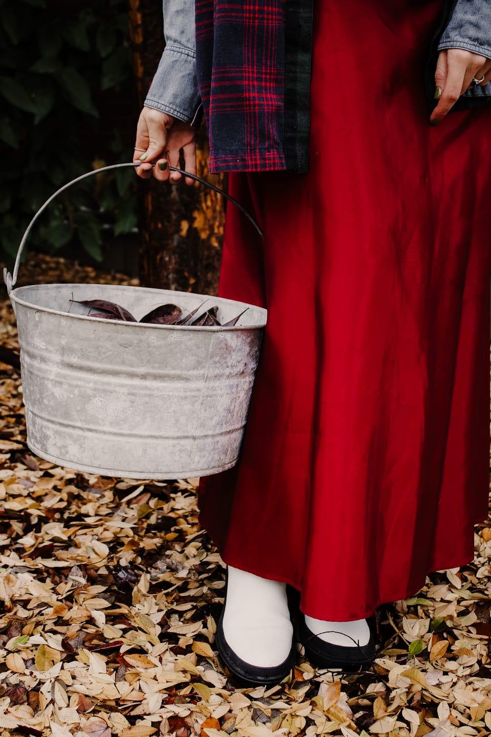 Customer photo review of The Apple Cider Preset Collection