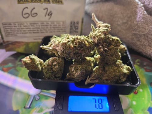 Customer photo review of Gorilla Glue THCA Flower